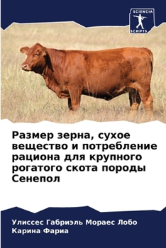 Paperback Размер зерна, сухое вещес [Russian] Book