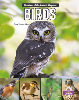 Paperback Birds Book