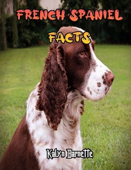 French Spaniel Facts: FRENCH SPANIEL fact for girl age 1-10 FRENCH SPANIEL fact for boy age 1-10 facts about all about FRENCH SPANIEL