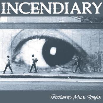Vinyl Thousand Mile Stare Book