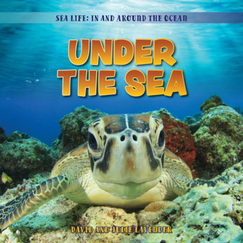 Library Binding Under the Sea Book