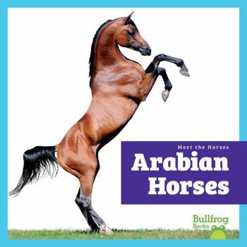 Paperback Arabian Horses Book