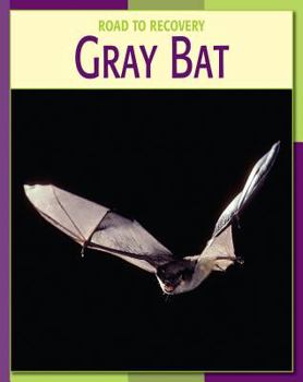 Library Binding Gray Bat Book