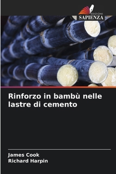 Rinforzo in bambù nelle lastre di cemento (Italian Edition)