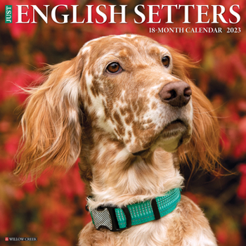 Calendar Just English Setters 2023 Wall Calendar Book