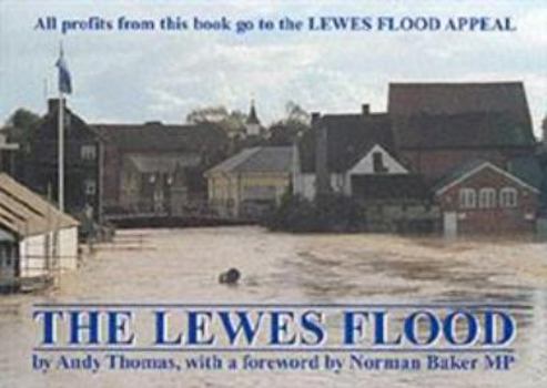 Paperback The Lewes Flood Book