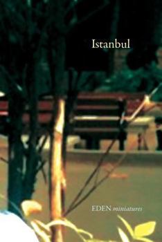 Paperback Istanbul Book