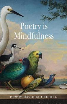 Paperback Poetry is Mindfulness Book