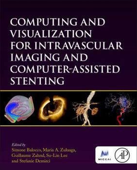 Hardcover Computing and Visualization for Intravascular Imaging and Computer-Assisted Stenting Book