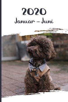 Kalender 2020: Pudel Hunde Tageskalender 1. Halbjahr Januar Juni ca DIN A5 weiß über 190 Seiten (German Edition)