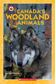 Paperback Canada Close Up: Canada's Woodland Animals Book