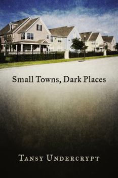 Paperback Small Towns, Dark Places Book