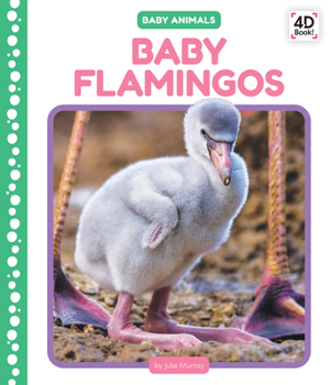 Library Binding Baby Flamingos Book