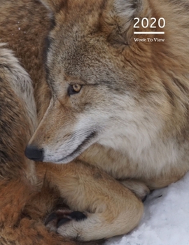 2020 A4 Diary Week To View Planner For All Occasions: | Year Planner For Business, Office, Home, University, College, School, Appointments, Organizer.