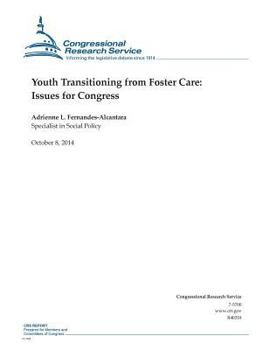 Paperback Youth Transitioning from Foster Care: Issues for Congress Book