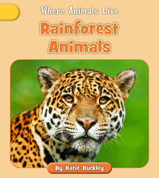 Paperback Rainforest Animals Book