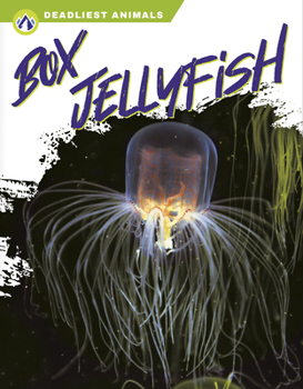 Library Binding Box Jellyfish Book