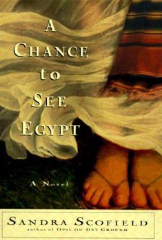 Hardcover A Chance to See Egypt Book