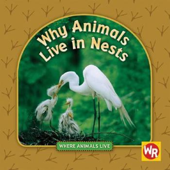 Why Animals Live in Nests (Where Animals Live) - Book  of the Where Animals Live