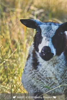 SHEEP! A 2020 Weekly Planner: Cover Sheep: September (Best Laid Plans)