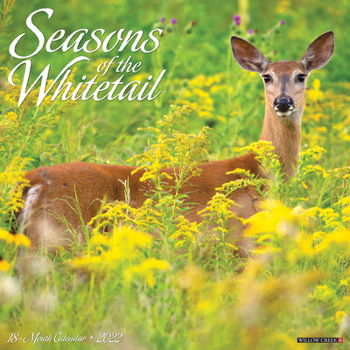 Calendar Seasons of the Whitetail 2022 Wall Calendar (Deer) Book