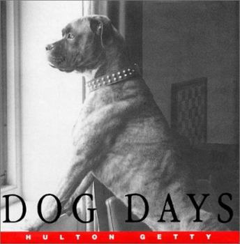Hardcover Dog Days Book