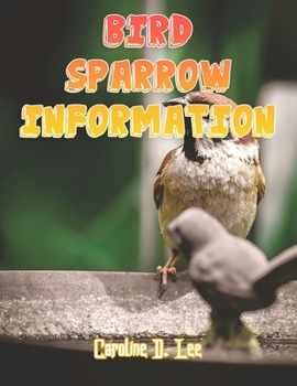 Bird Sparrow Information: sparrow bird fact for girl age 1-10 sparrow bird fact for boy age 1-10 sparrow bird information information of sparrow