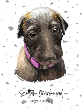 Scottish Deerhound 2020 Planner: Dated Weekly Diary With To Do Notes & Dog Quotes (Awesome Calendar Planners for Dog Owners - Pedigree Puppy Breed)