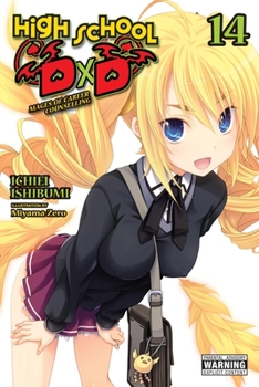 Paperback High School DXD, Vol. 14 (Light Novel): Mages of Career Counselling Book