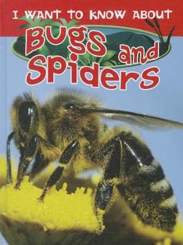Library Binding I Want to Know about Bugs and Spiders Book