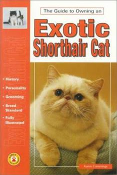 Paperback The Guide to Owning an Exotic Shorthair Cat Book