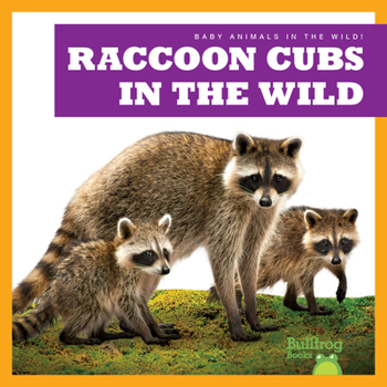 Library Binding Raccoon Cubs in the Wild Book