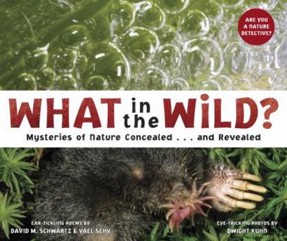 Hardcover What in the Wild?: Mysteries of Nature Concealed . . . and Revealed Book
