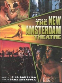 Hardcover A Day at the New Amsterdam Theatre Book