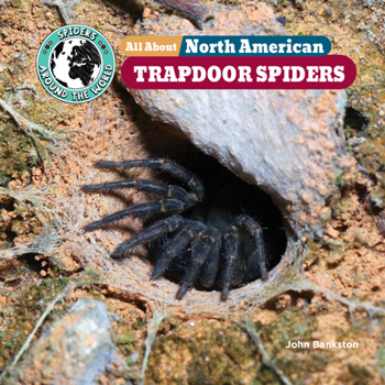 All about North American Trapdoor Spiders (Spiders Around the World: North America)