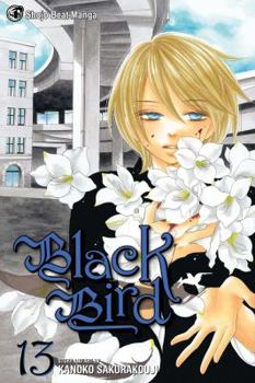 Paperback Black Bird, Volume 13 Book