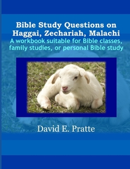 Paperback Bible Study Questions on Haggai, Zechariah, Malachi: A workbook suitable for Bible classes, family studies, or personal Bible study Book