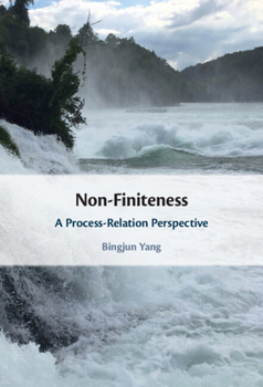 Hardcover Non-Finiteness: A Process-Relation Perspective Book