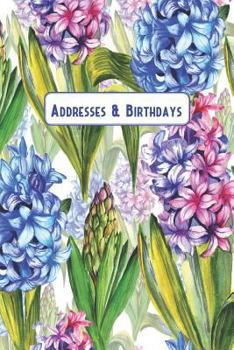 Paperback Addresses & Birthdays: Watercolor Hyacinths Book