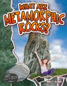 Paperback What Are Metamorphic Rocks? Book