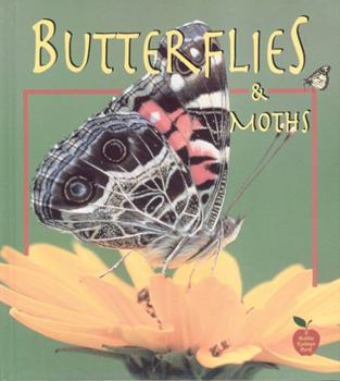 Paperback Butterflies and Moths Book