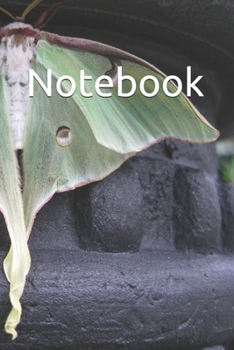 Paperback Notebook: Lined, Soft Cover, Notebook, Journal, Plain Notebook Book