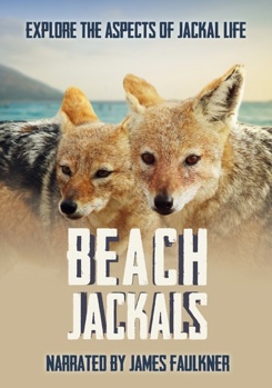 DVD Beach Jackals Book