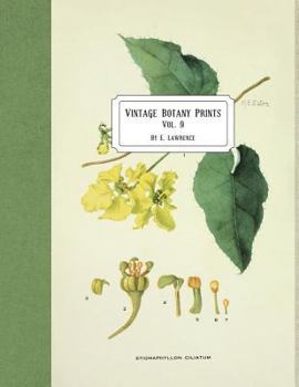 Vintage Prints: Ferns: Vol. 9