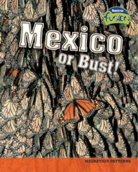 Library Binding Mexico or Bust!: Migration Patterns Book