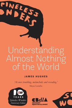 Paperback Understanding Almost Nothing Of The World Book
