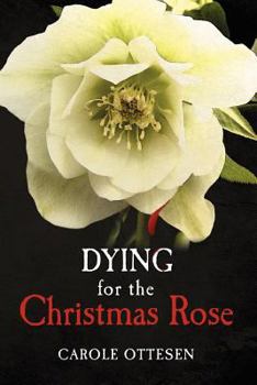 Paperback Dying for the Christmas Rose Book