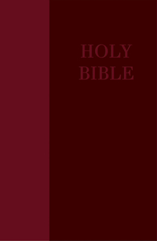 Imitation Leather NRSV Large Print Bible Decotone [Large Print] Book