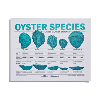 Misc. Oyster Species of North America Letterpress Print Book