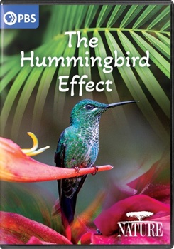 DVD Nature: The Hummingbird Effect Book